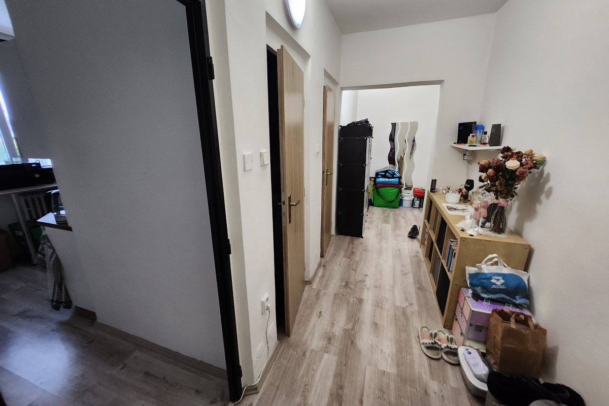 Profesionální fotografie - před
