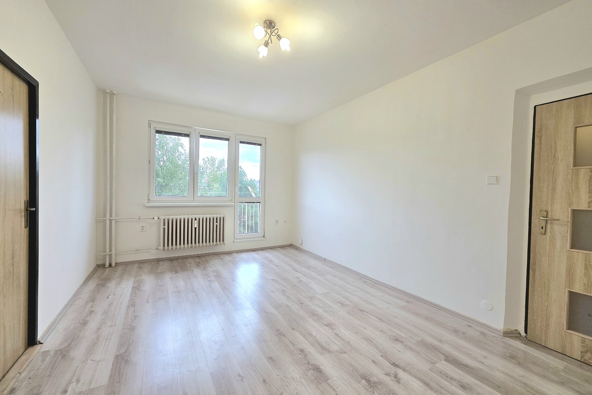 Vizualizace před