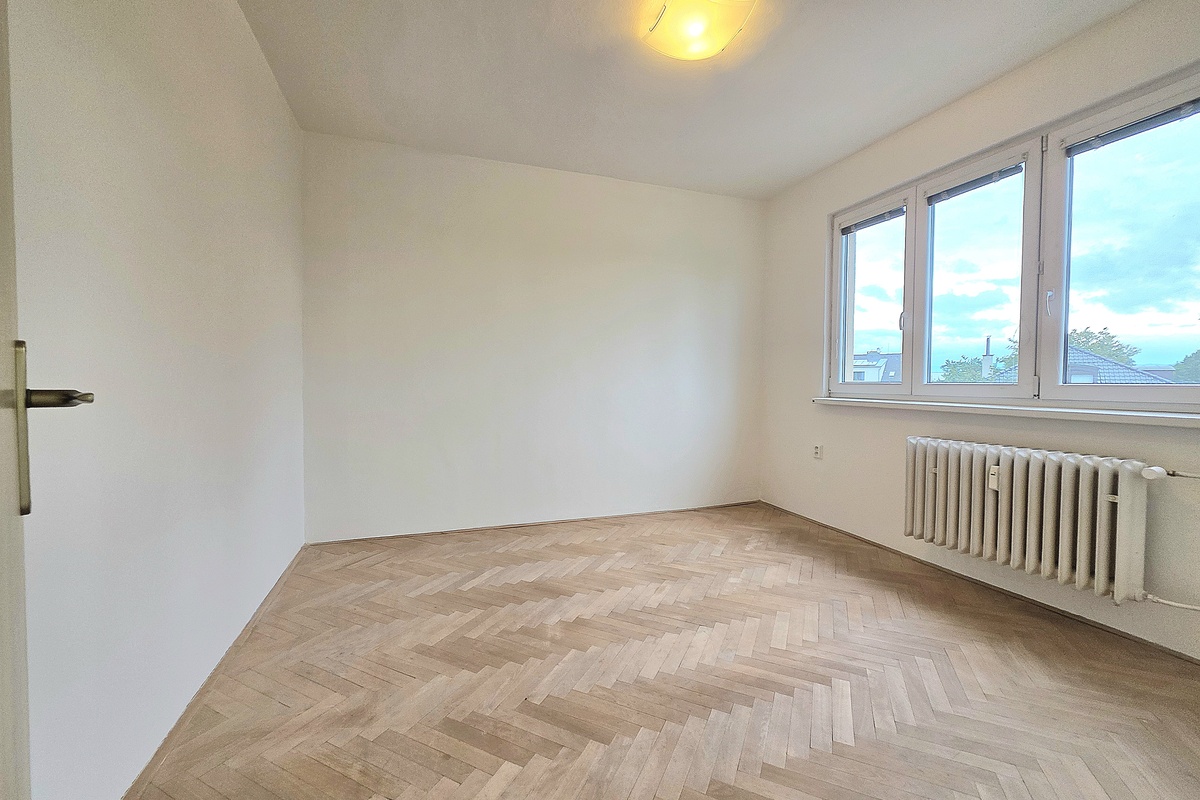 Vizualizace před