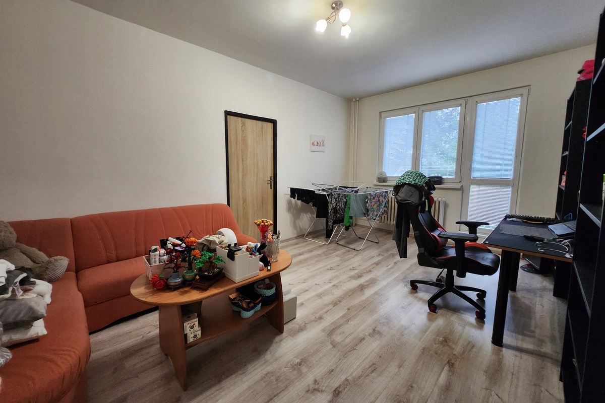 Profesionální fotografie - před